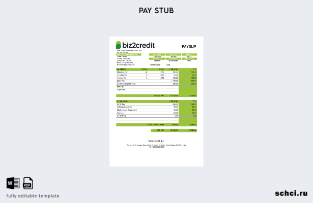 цифровая загрузка шаблона компании India BizCredit Inc., занимающейся потребител